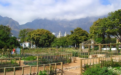 Ботанический сад Кейптауна