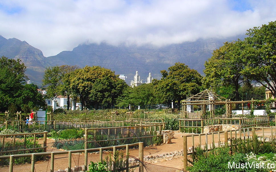 Ботанический сад Кейптауна