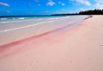Пляж розовые пески