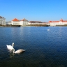 Озеро перед дворцом, лебеди в нем