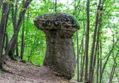 Каменные грибы в Ивановой балке (Крым)