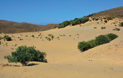 Песчаные дюны Гомати на острове Лемнос