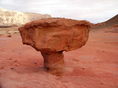Каменный гриб в Национальном парке Тимна