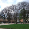 Площадь Вогезов. За деревьями конная статуя Людовика XIII.
