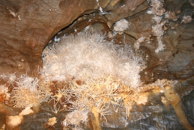 Жбрашовские арагонитовые пещеры