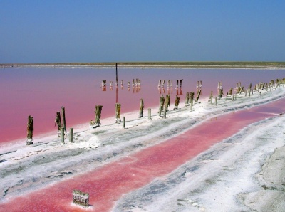 Геническ розовое озеро
