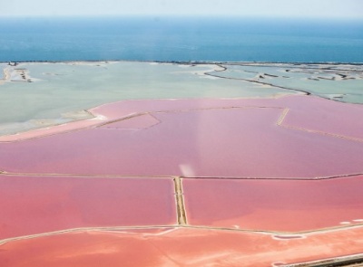 Розовое озеро Камарга во Франции