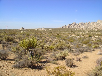 Пустыня Mojave national Preserve
