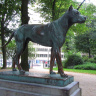 Памятник собаке в Брюсселе.