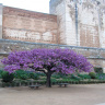 Крепостные стены и башни Альгамбры.
