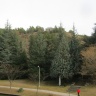 Городской парк Свети Врач в Сандански