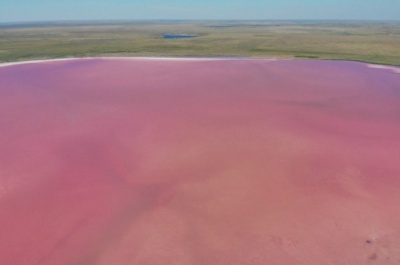 Розовое озеро Кобейтуз в Казахстане