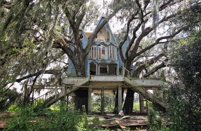 Дом между двух деревьев во Флориде