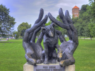 Памятник собаке Джока в Кракове