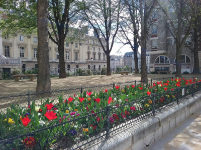 Площадь Дофина в Париже