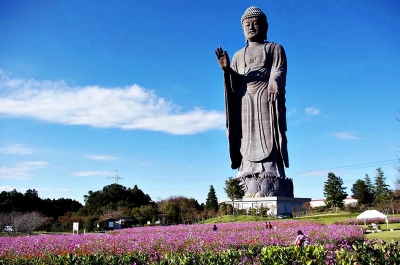 Дайбуцу Усику — статуя Будды Амитабхи