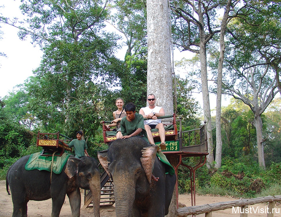 Катание на слонах в Ангкоре