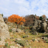 Скалы Адам Каялар в каньоне Кепрюлю
