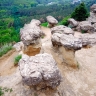 Белые каменные грибы Кисловодска