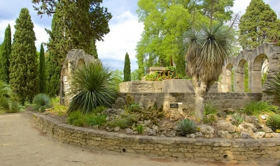 Ботанический сад Jardin des Plantes в Монпелье