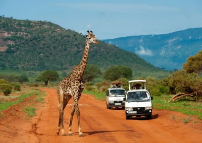 Национальный парк Цаво в Кении