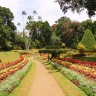Королевский ботанический сад в Перадении