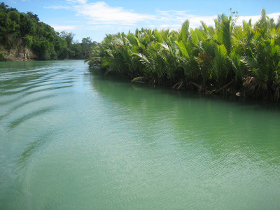 Река Лобок на острове Бохоль