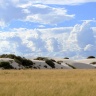 Национальный парк Белые дюны