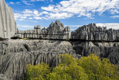 Каменный лес Цинги де Бемараха (Мадагаскар)