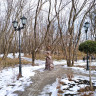 Эммануэлевский парк в Пятигорске