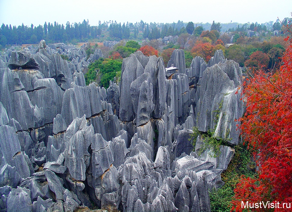 Каменный лес Шилинь в Китае