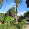 Небольшой парк Хауард, разделяющий Мдину и Рабат