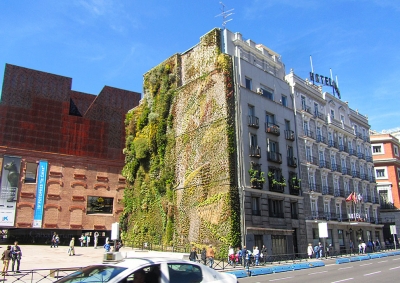 Дом с садом в Мадриде