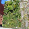 Вертикальный сад Патрика Бланка в Мадриде