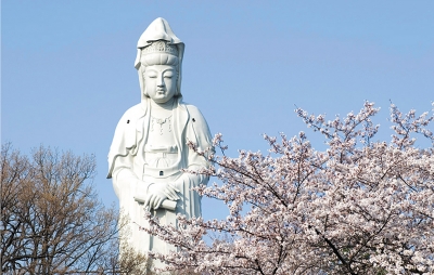 Takasaki White Wear Kannon Statue