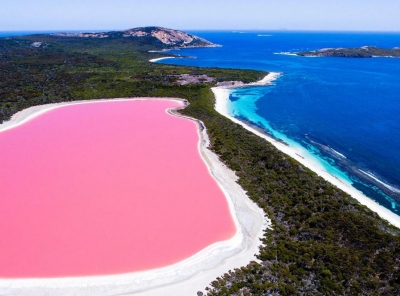Розовое озеро Хиллер (Австралия)