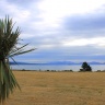 Озеро Таупо