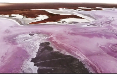 Меклетинское розовое озеро в Калмыкии