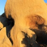 Скала-череп в Нац.парке Джошуа Три
