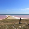 Кояшское розовое озеро (Крым)