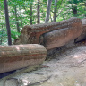 Каменные грибы Trovanti (Babele de la Ulmet)