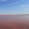 Озеро розовое Сасык-Сиваш (Крым)