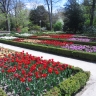 Королевский ботанический сад в Мадриде