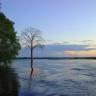 Самая длинная река в мире Амазонка и амазонские джунгли