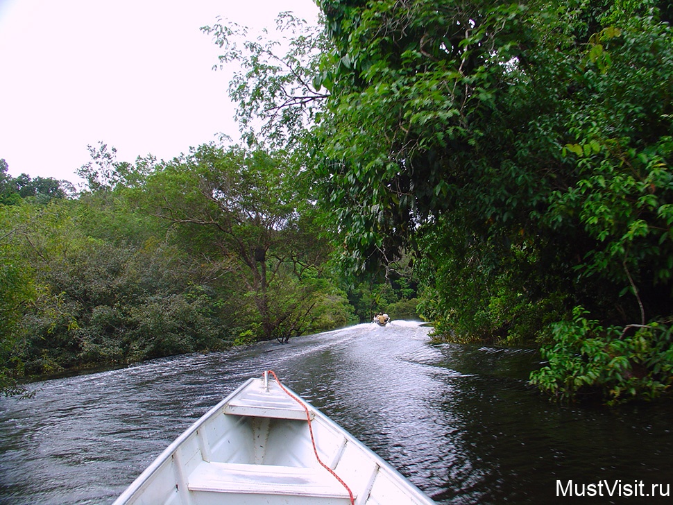 Самая длинная река в мире Амазонка и амазонские джунгли