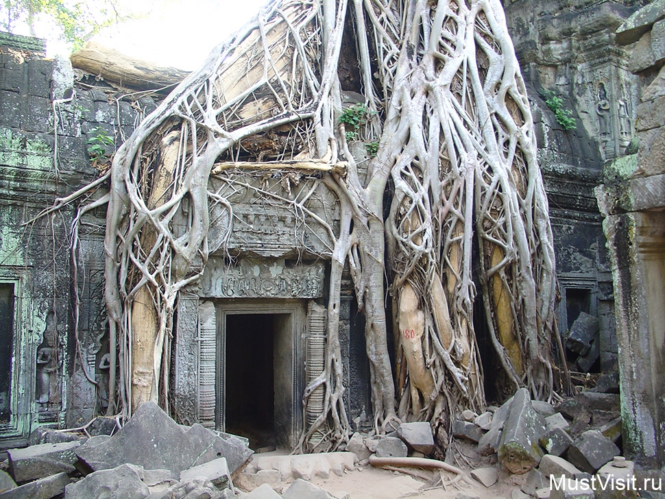 Храм Та Пром в Ангкоре