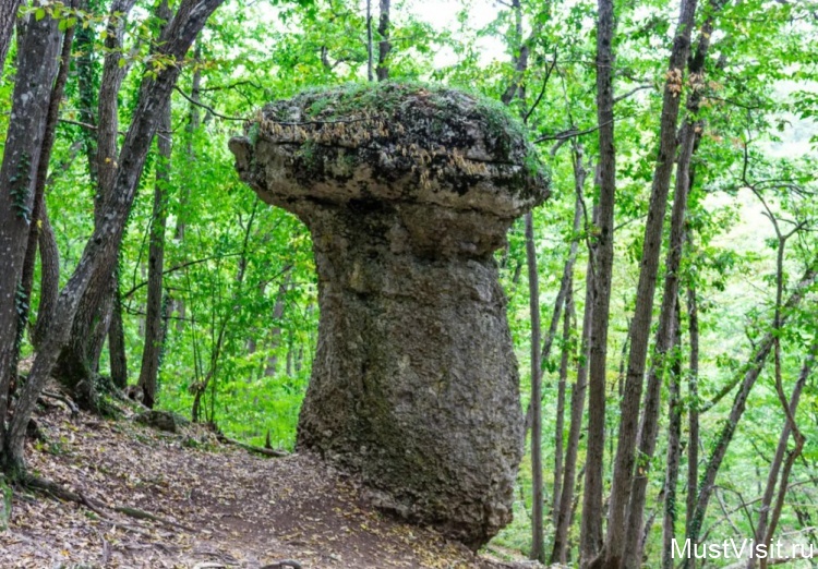 Каменные грибы в Ивановой балке (Крым)