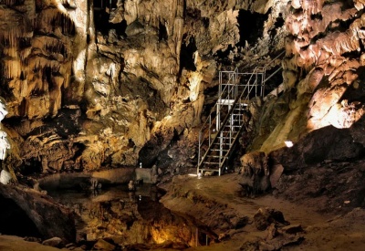 Пещера Леденика (Болгария)