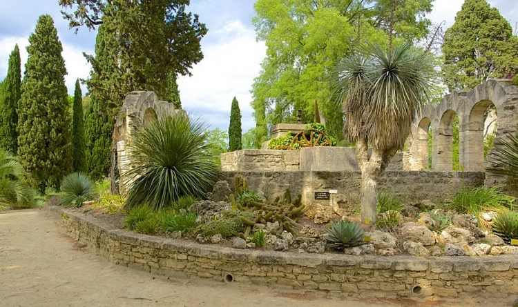 Ботанический сад Jardin des Plantes в Монпелье