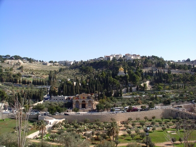 Гефсимания в Иерусалиме